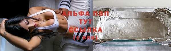 эйфоретик Богданович