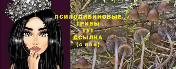 эйфоретик Богданович