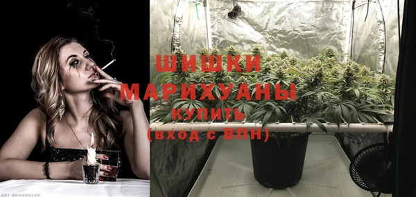 эйфоретик Богданович