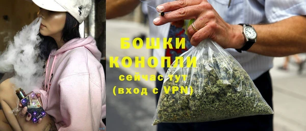 PSILOCYBIN Богородск