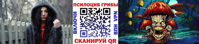 blacksprut ТОР Новосибирск Псилоцибиновые грибы GOLDEN TEACHER где купить наркоту